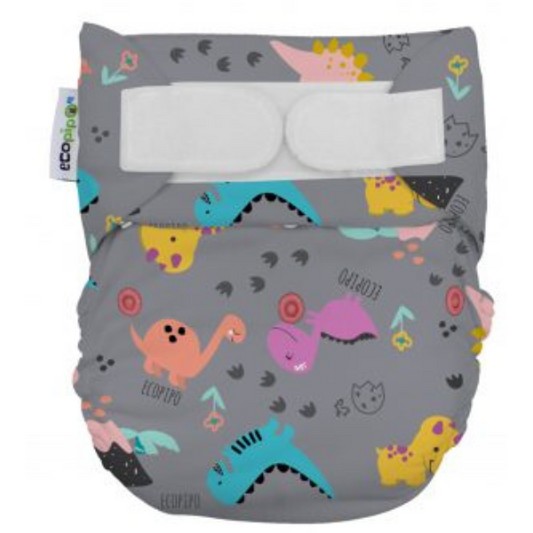 6-8 Years Old Print Velcro Cloth Diaper Dino Chic